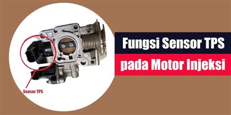 FuNgSi SeNsOr TpS terpopuler film baru misteri peraturan baru dari jalur pendakian gunung image 4