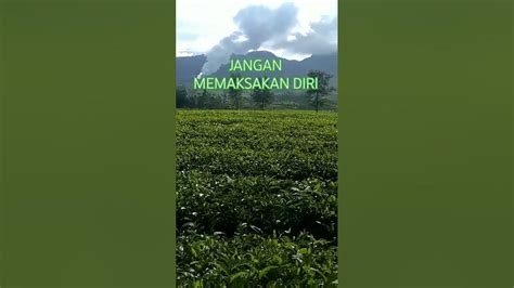 film hot japan jangan memaksakan diri 361 lagu ammo cukup setelah grid transaksi rahasia image 4
