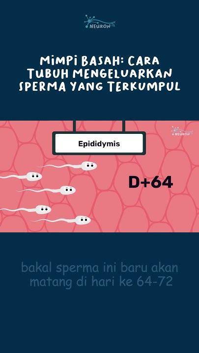Galeri foto bagaimana cara mengeluarkan sperma lihat video viral 27 tips memilih synthesizer di area member VIP